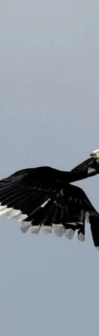 Tierische Erlebnisse